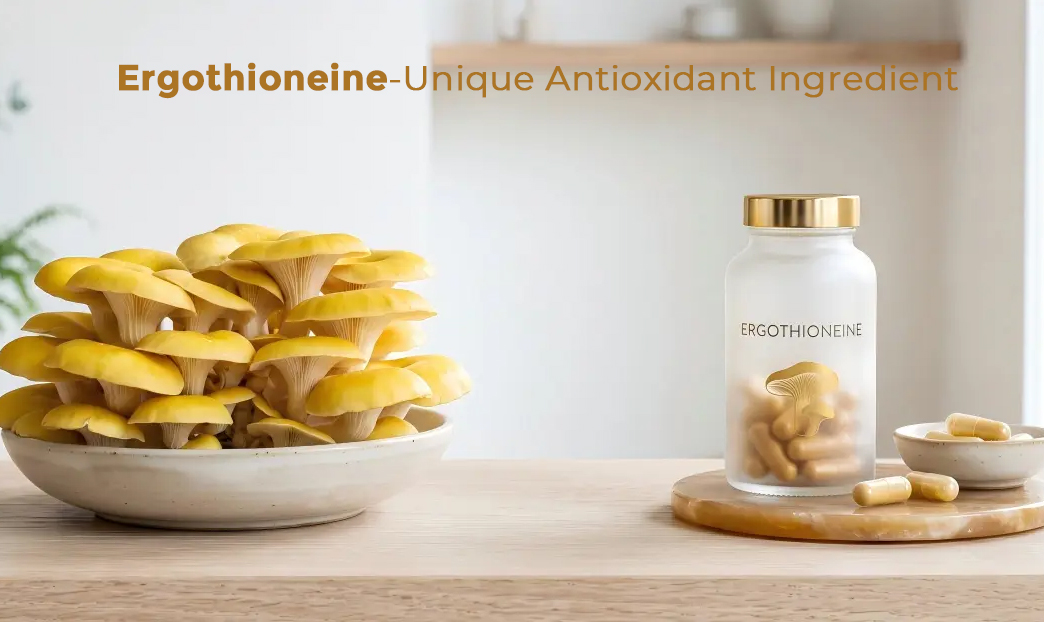 What Is ergothioneine powder? A Complete Guide to This Unique Antioxidant Ingredient